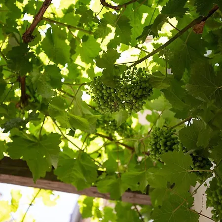 Q-riosity Boutique Bed & Breakfast Quartu Sant'Elena