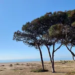 Q-riosity Boutique Bed & Breakfast Quartu Sant'Elena