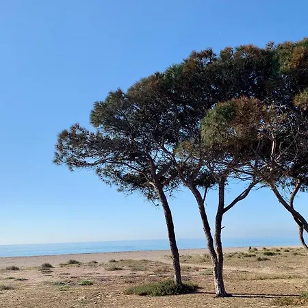 Q-riosity Boutique Nocleg ze śniadaniem Quartu SantʼElena