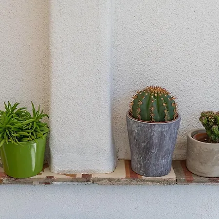 Nocleg ze śniadaniem Q-riosity Boutique Quartu SantʼElena