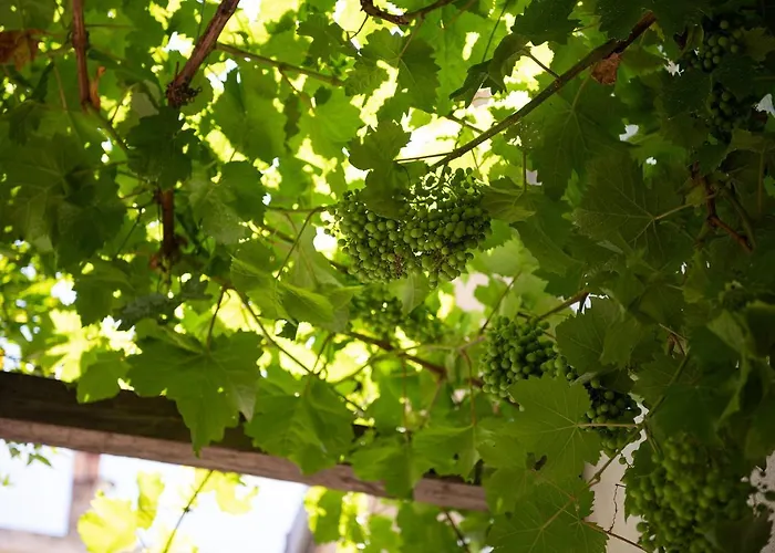 Q-riosity Boutique Bed & Breakfast Quartu SantʼElena